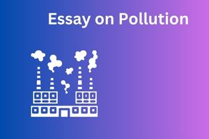 Essay on pollution